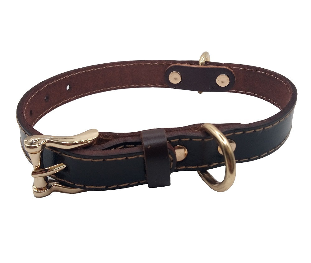 Echtleder Hundehalsband