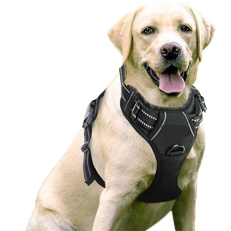 Hundegeschirr mit 2 Ringen