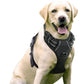 Hundegeschirr mit 2 Ringen