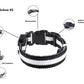 LED Hunde Leuchthalsband