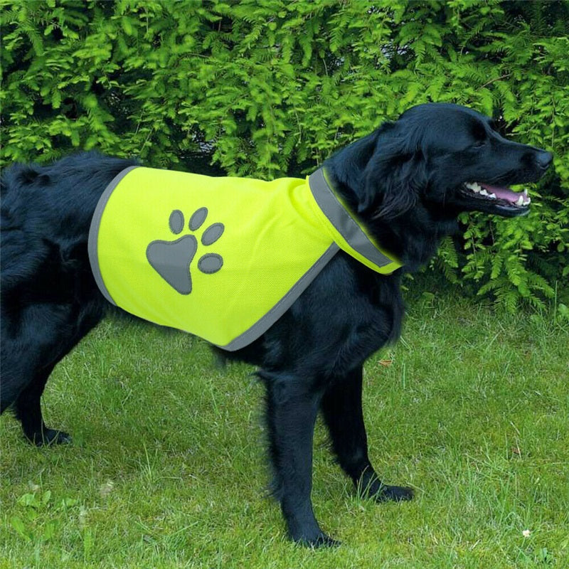 Reflektierende Sicherheitsweste für Hunde